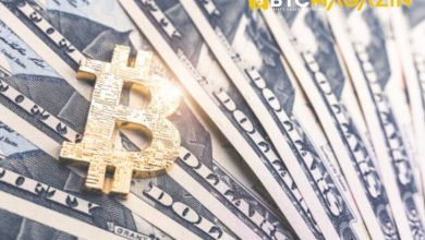 Bitcoin ve Kriptoya Rekor Miktarda Sermaye Aktı 9