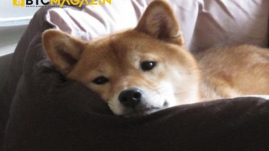 Dogecoin (DOGE) Hayranlarına Kötü Haber! 4