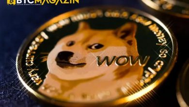 Dogecoin Tarih Yazdı! 9