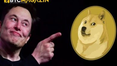 Elon Musk, Dogecoin'in Nasıl Daha Faydalı Olacağını Açıkladı 4