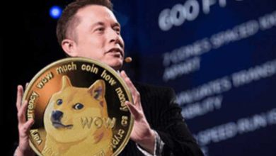 Elon Musk, "Her Şeyi Açıklayan" Bir Dogecoin Videosu Paylaştı 3