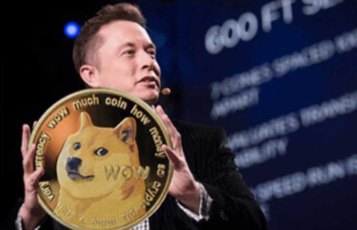 Elon Musk, "Her Şeyi Açıklayan" Bir Dogecoin Videosu Paylaştı 1