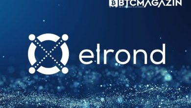 Elrond (EGLD) Nedir? Elrond (EGLD) Coin Geleceği ve Yorum 2022 8