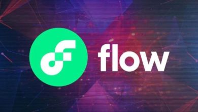 Flow (FLOW) Nedir? Flow (FLOW) Coin Geleceği ve Yorum 2022 5