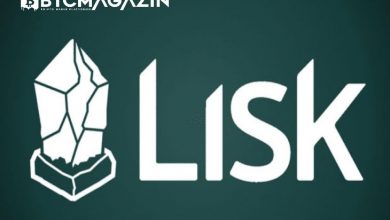 Lisk (LSK) Nedir? Lisk (LSK) Coin Geleceği ve Yorum 2022 2