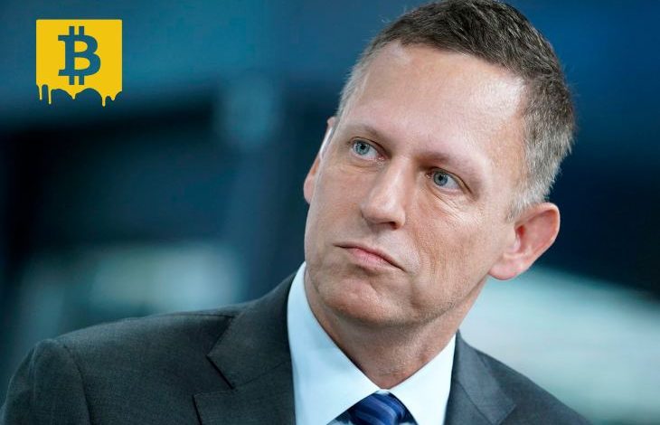 Paypal'ın Kurucu Ortağı Bitcoin'in Yükselememesinden Amerikan Milyarderleri Suçlu Buldu 1