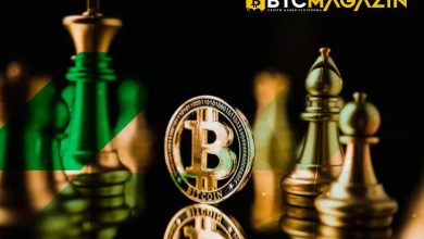 Piyasada Bitcoin'in Hakimiyeti Devam Ediyor 7