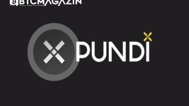 Pundi X (New) (PUNDIX) Nedir? Pundi X (PUNDIX) Geleceği ve Yorum 2022 1