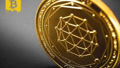 Qtum (QTUM) Nedir? Qtum (QTUM) Coin Geleceği ve Yorum 2022 6