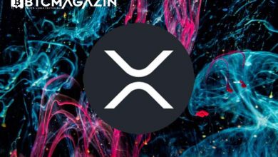 Ripple ve Anonim Cüzdanlar Tarafından 512 Milyon XRP Taşındı 3