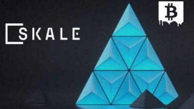 SKALE Network (SKL) Nedir? SKALE Network (SKL) Coin Geleceği ve Yorum 2022 1