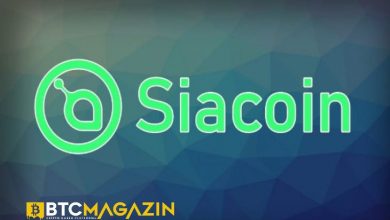 Siacoin (SC) Nedir? Siacoin (SC) Geleceği 2022 9