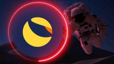 Terra (LUNA) Nedir? Terra (LUNA) Coin Geleceği ve Yorum 2022 8