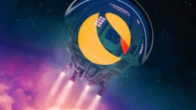 Terra (LUNA) Tüm Zamanların En Yüksek Seviyesine Ulaşarak Ripple'ı (XRP) Geride Bıraktı 7