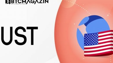 TerraUSD (UST) Nedir? TerraUSD (UST) Coin Geleceği ve Yorum 2022 1