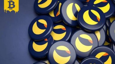 Terra'nın UST'si Dogecoin'i Geride Bırakmak Üzere 1