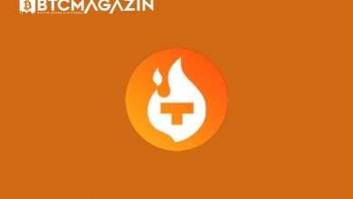 Theta Fuel (TFUEL) Nedir? Theta Fuel (TFUEL) Coin Geleceği ve Yorum 2022 6