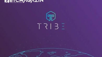 Tribe (TRIBE) Nedir? Tribe (TRIBE) Coin Geleceği ve Yorum 2022 1