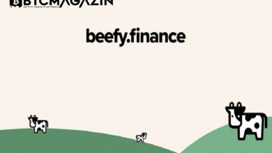 Beefy Finance (BIFI) Nedir? Beefy Finance (BIFI) Geleceği ve Yorum 2022 8