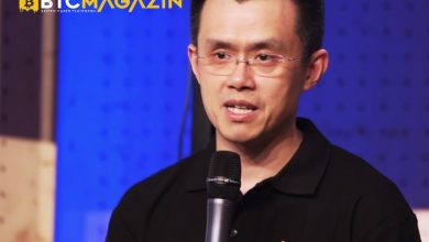 Binance CEO'su Terra'nın UST'yi Nasıl Kurtarabileceğini Açıkladı 9