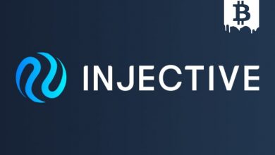 Injective (INJ) Nedir? Injective (INJ) Geleceği ve Yorum 2022 4
