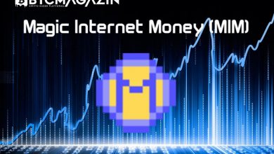 Magic Internet Money (MIM) Nedir? Magic Internet Money (MIM) Geleceği ve Yorum 2022 6