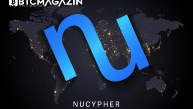 NuCypher (NU) Nedir? NuCypher (NU) Geleceği ve Yorum 2022 6
