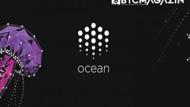 Ocean Protocol (OCEAN) Nedir? Ocean Protocol (OCEAN) Geleceği ve Yorum 2022 6