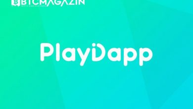 PlayDapp (PLA) Nedir? PlayDapp (PLA) Geleceği ve Yorum 2022 6