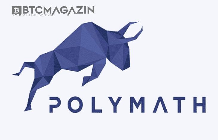 Polymath (POLY) Nedir? Polymath (POLY) Geleceği ve Yorum 2022 1