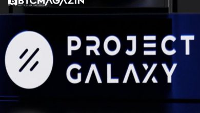 Project Galaxy (GAL) Nedir? Project Galaxy (GAL) Geleceği ve Yorum 2022 2