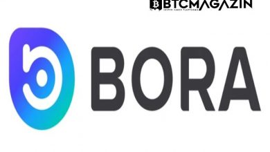 BORA (BORA) Nedir? BORA (BORA) Geleceği ve Yorum 2022 6