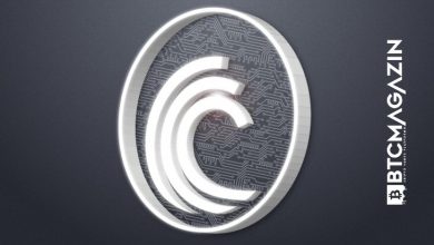 BitTorrent (BTT) Nedir? BitTorrent (BTT) Geleceği ve Yorum 2022 1