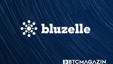 Bluzelle (BLZ) Nedir? Bluzelle (BLZ) Geleceği ve Yorum 2022 2