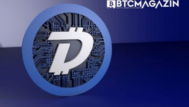 DigiByte (DGB) Nedir? DigiByte (DGB) Geleceği ve Yorum 2022 8
