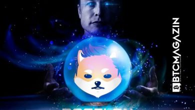 Dogelon Mars (ELON) Nedir? Dogelon Mars (ELON) Geleceği ve Yorum 2022 1