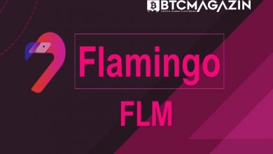 Flamingo (FLM) Nedir? Flamingo (FLM) Geleceği ve Yorum 2022 4