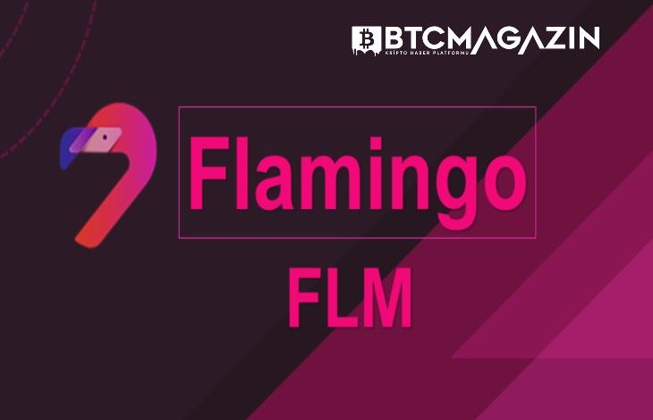 Flamingo (FLM) Nedir? Flamingo (FLM) Geleceği ve Yorum 2022 1