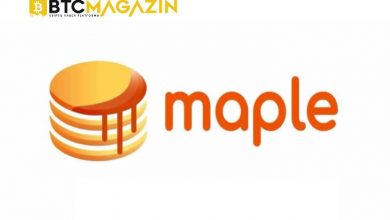 Maple (MPL) Nedir? Maple (MPL) Geleceği ve Yorum 2022 3