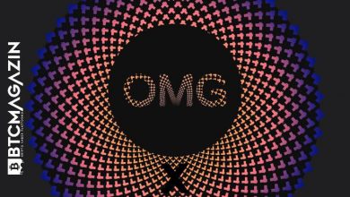 OMG Network (OMG) Nedir? OMG Network (OMG) Geleceği ve Yorum 2022 8