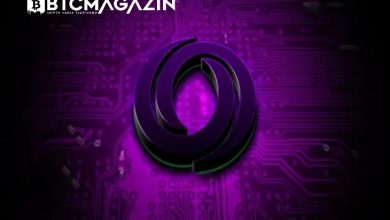 Oasis Network (ROSE) Nedir? Oasis Network (ROSE) Geleceği ve Yorum 2022 6