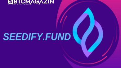 Seedify.fund (SFUND) Nedir? Seedify.fund (SFUND) Geleceği ve Yorum 2022 5