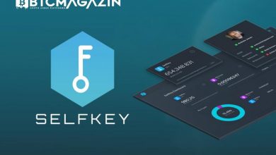 SelfKey (KEY) Nedir? SelfKey (KEY) Geleceği ve Yorum 2022 7