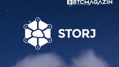 Storj (STORJ) Nedir? Storj (STORJ) Geleceği ve Yorum 2022 9
