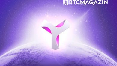 Symbol (XYM) Nedir? Symbol (XYM) Geleceği ve Yorum 2022 9