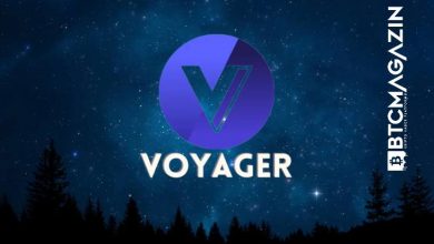 Voyager Token (VGX) Nedir? Voyager Token (VGX) Geleceği ve Yorum 2022 9