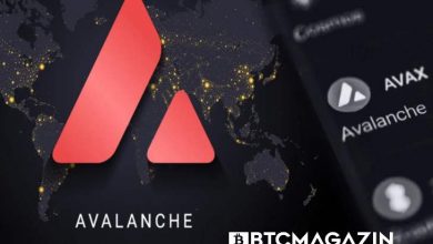 Avalanche (AVAX) Nedir? Avalanche (AVAX) Geleceği ve Yorum 2022 2