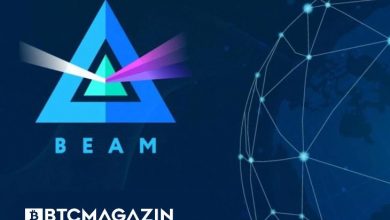 BEAM (BEAM) Nedir? BEAM (BEAM) Geleceği ve Yorum 2022 8