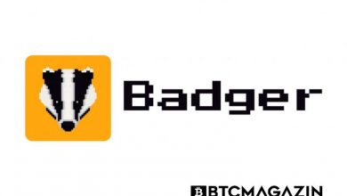 Badger DAO (BADGER) Nedir? Badger DAO (BADGER) Geleceği ve Yorum 2022 8