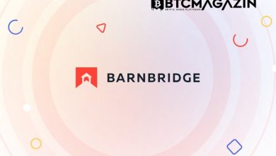 BarnBridge (BOND) Nedir? BarnBridge (BOND) Geleceği ve Yorum 2022 5